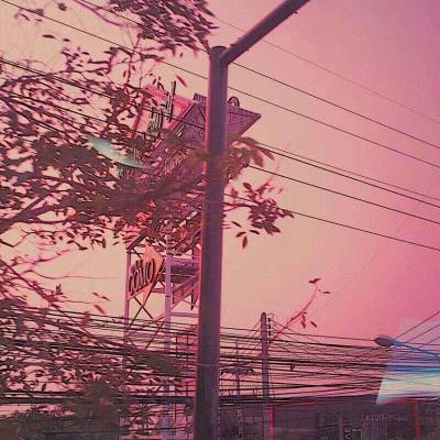 乐虎国际手机app下载